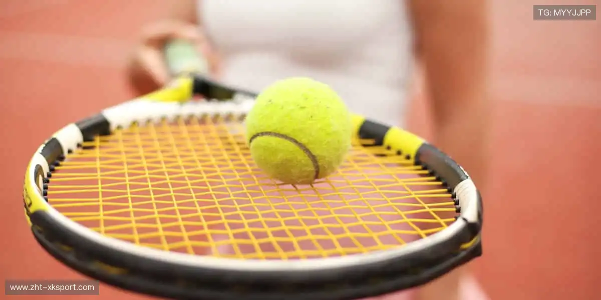 专业周边，品质之选！🎾